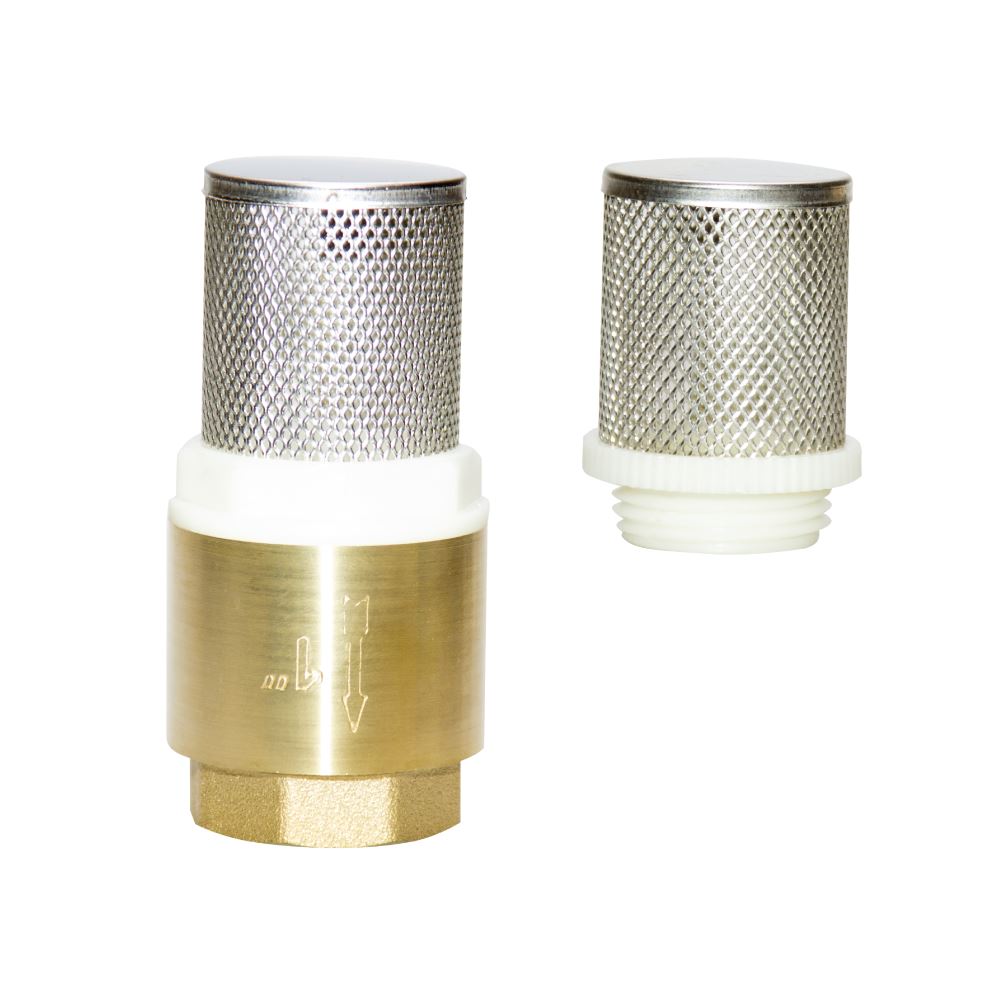 spring check valve