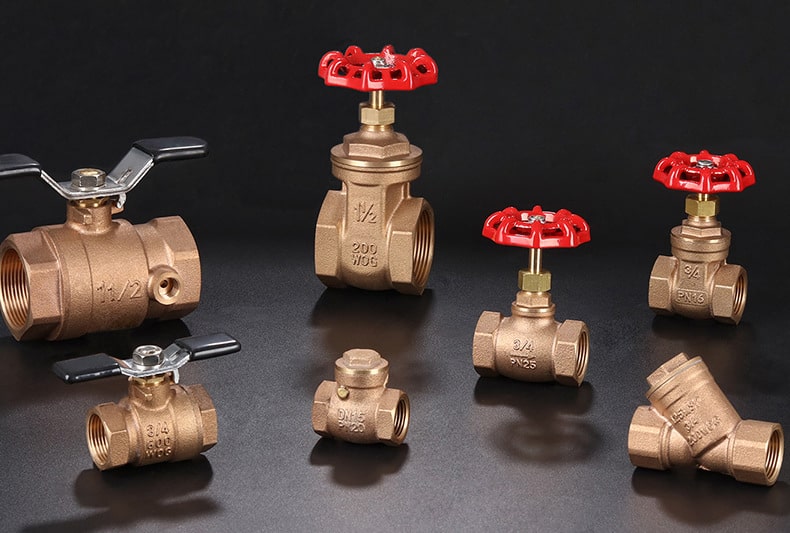 bronze strainer valve