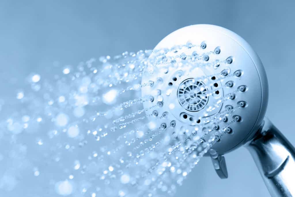 shower head filter