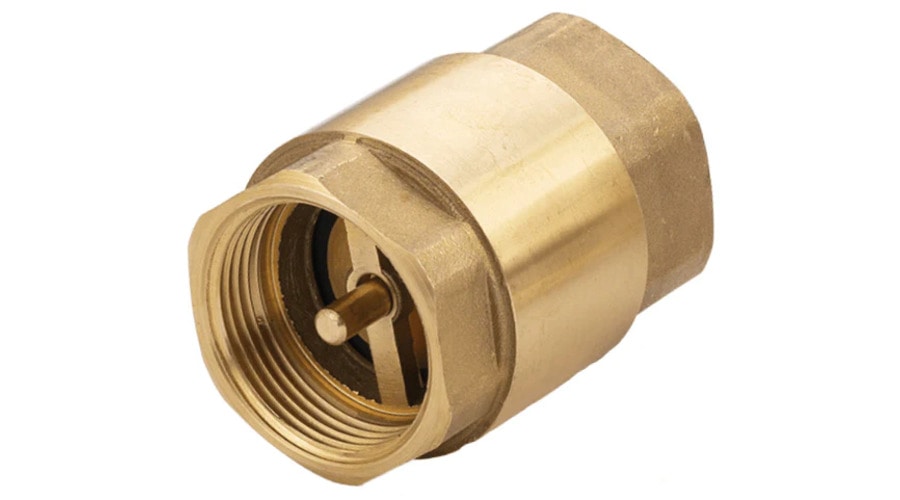 vertical spring check valve