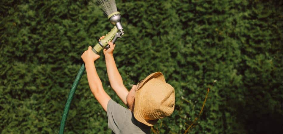 garden hose filter