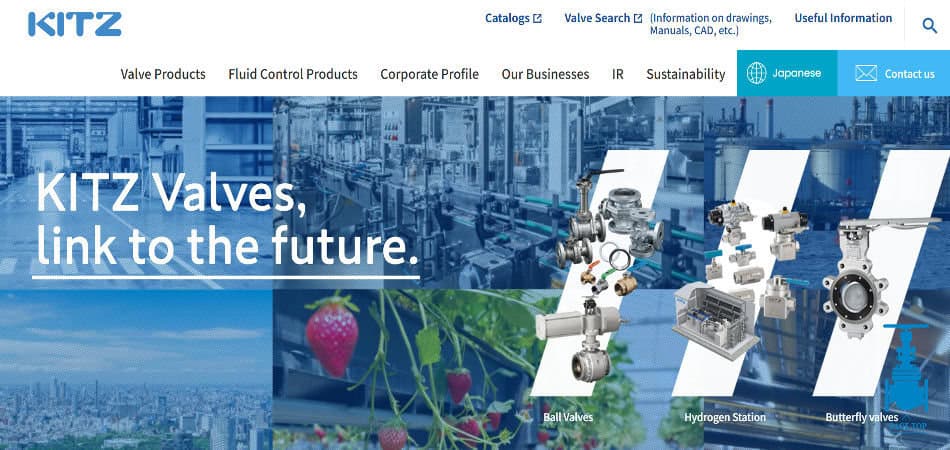KITZ valves india