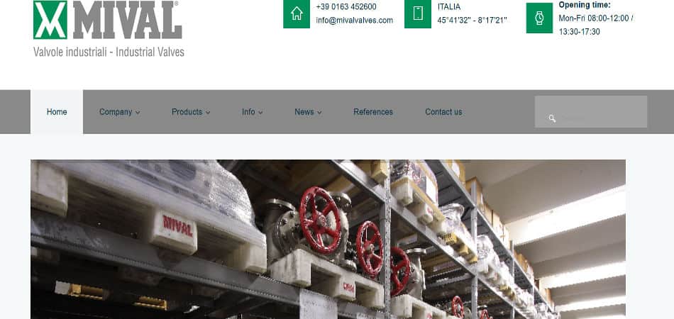 Mival valves
