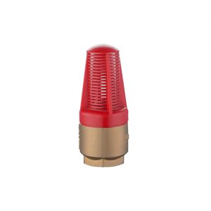 Spring Check Non-Return Valve Bronze