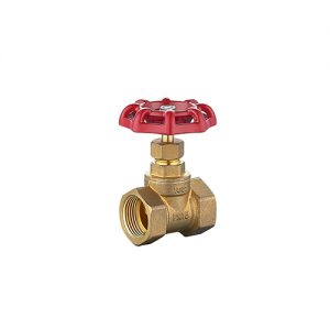 Globe Brass Stop Cock Valve