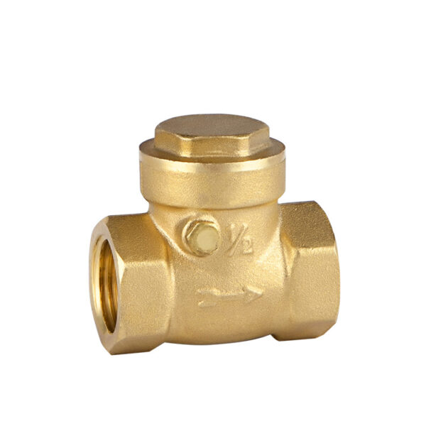 brass swing check valve