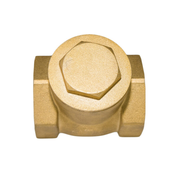 brass swing check valve