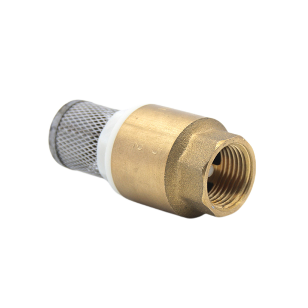 Vertical Spring Flap Check Valve 0613d