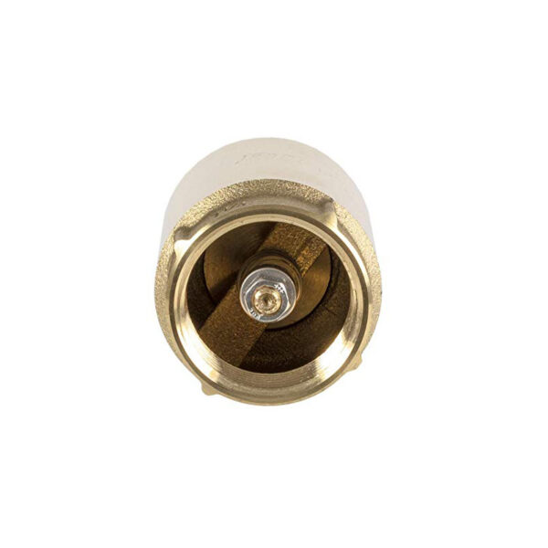 Inline Spring Loaded Check Valve with a box backside 0614b