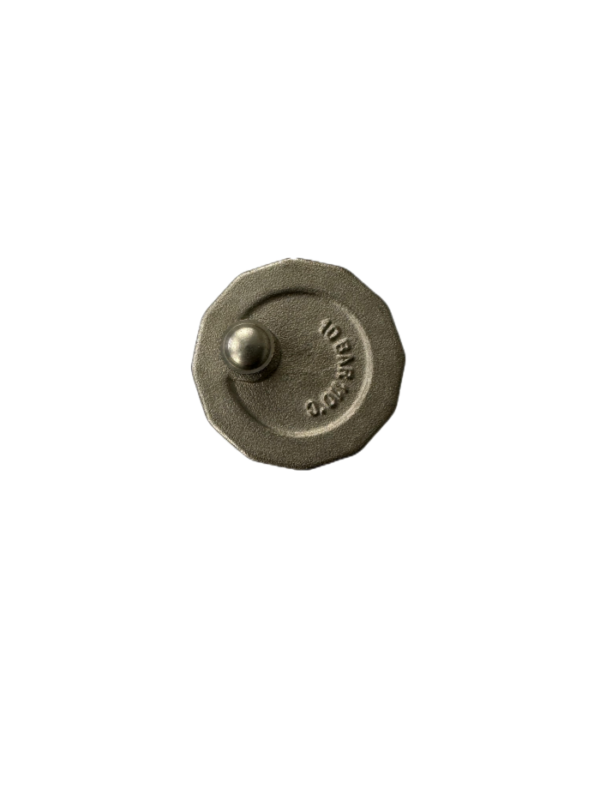 Air Vent Valve with 10bar