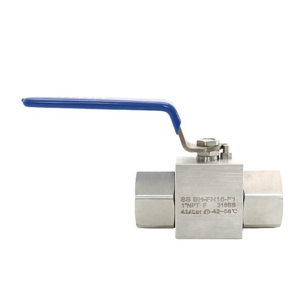 water meter valve locks