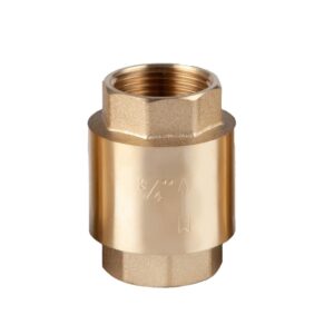 vertical check valve
