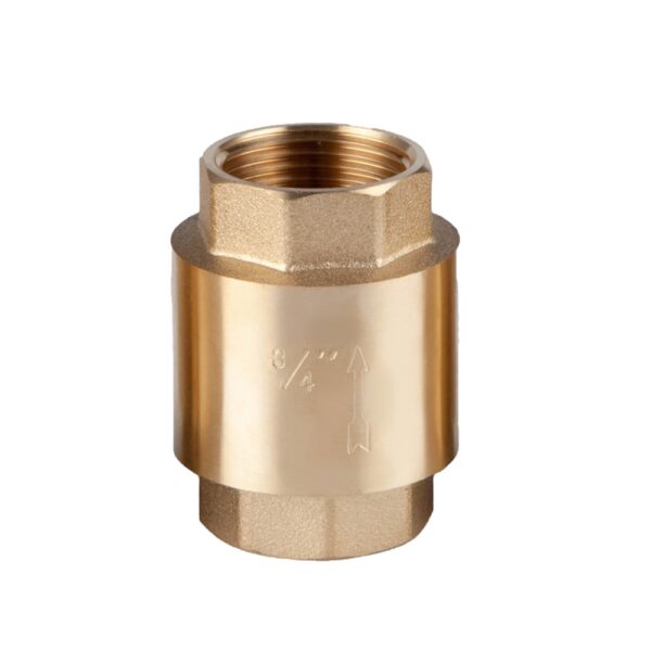 vertical check valve