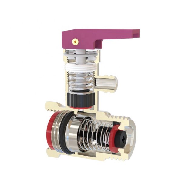 inside parts of safety valve