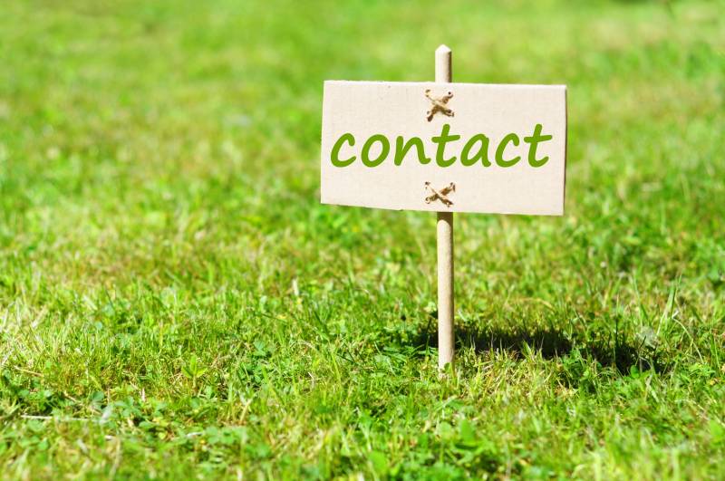 contact us