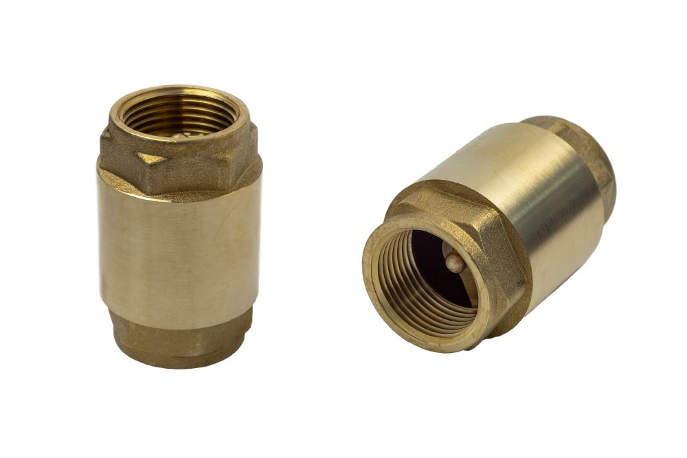 vertical check valve
