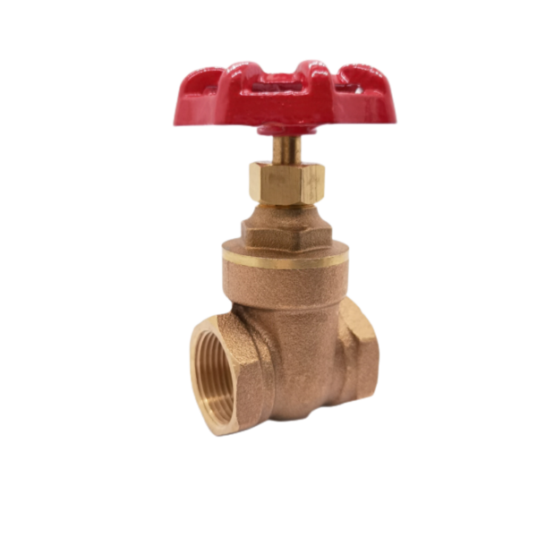 1/2 bronze gate valve