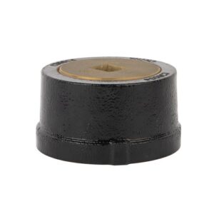 Cleanout with Brass Plug 0824