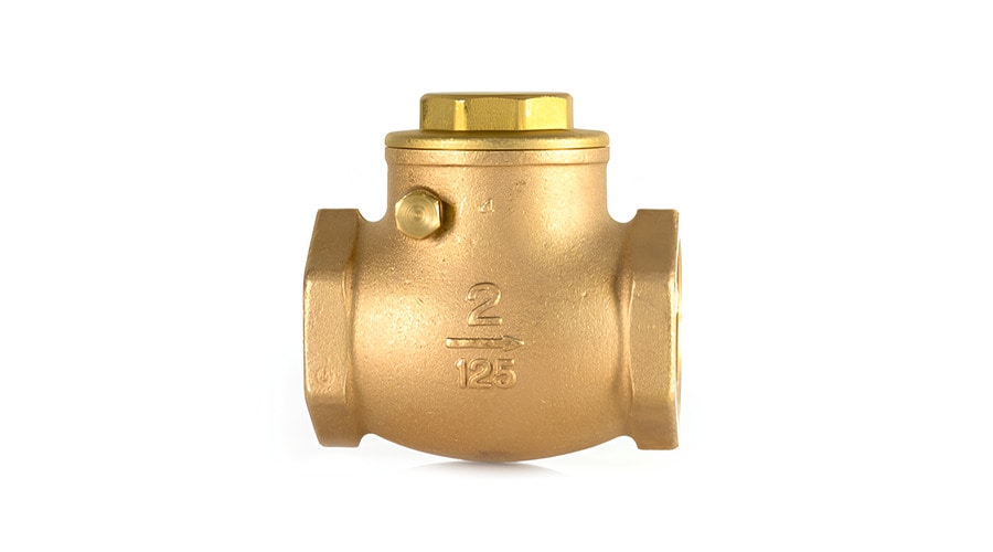 Swing Flapper check valve 2 inch